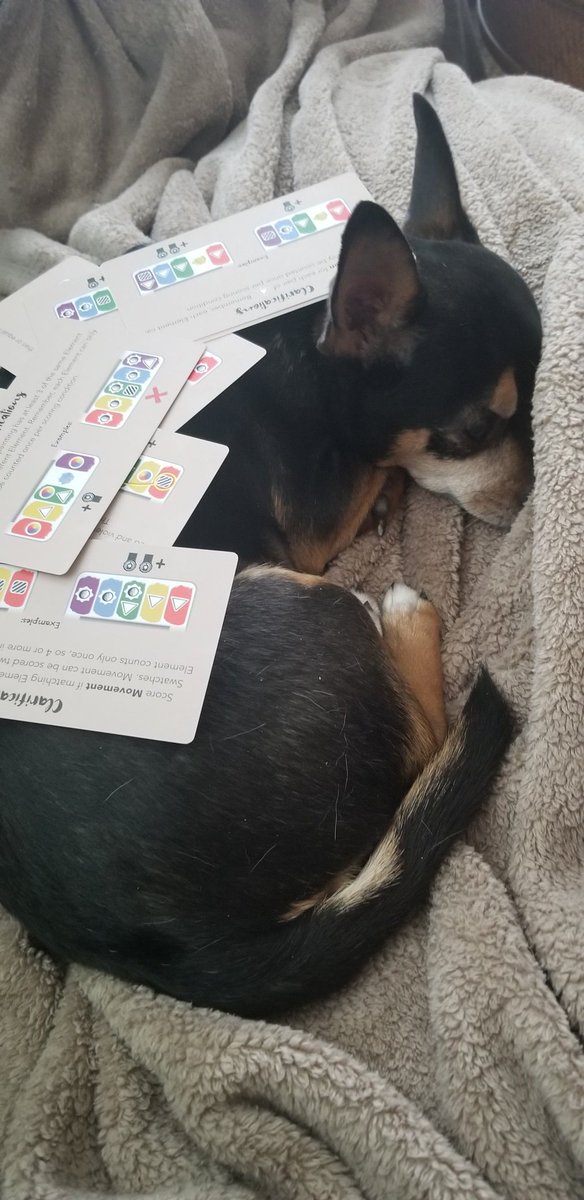 Chihuahuas make wonderful trays for spare cards between games. #canvas #boardgames