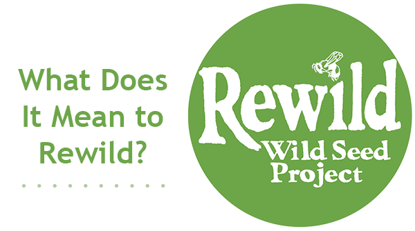 re·wild  /rēˈwīld/
Restore native plants, reverse habitat loss, and support biodiversity. Use landscaping practices that benefit wildlife. Join forces to connect fragmented habitat and advocate for nature. Learn about rewilding — a growing movement: bit.ly/pledge-to-rewi…