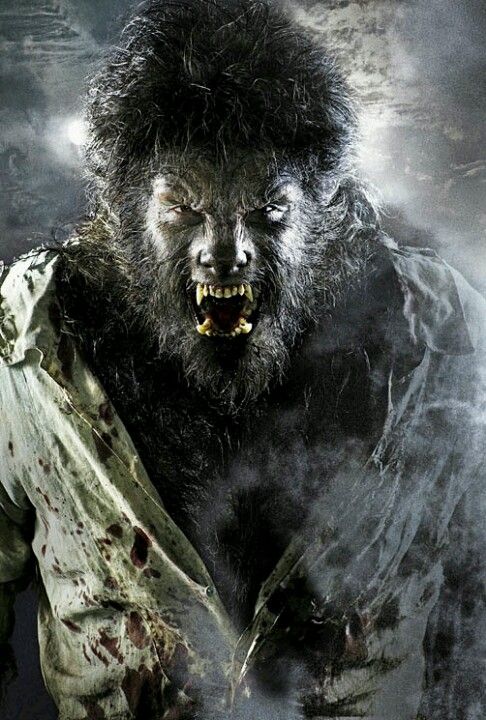 Happy Birthday to Benicio Del Toro who turns 54 today. Seen here in The Wolfman, 2010. 