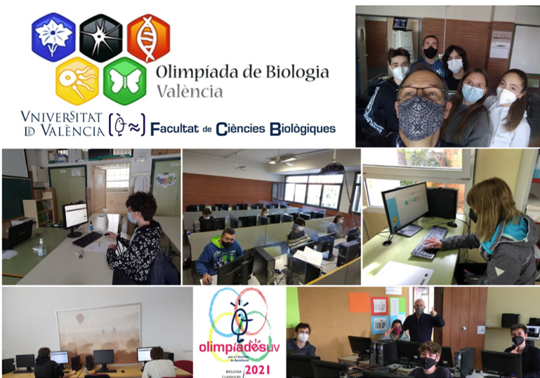 BiologiquesUV's tweet photo. XVIII OLIMPIADA DE BIOLOGIA
 @UV_EG @BiologiquesUV @Colegios_CEU @csapcarcaixent @elarmelar @ieslacanyada @ieslagarrigosa @C_Mas_Camarena @barridelcarme @ieslosnaranjos @iesperedesplugues @ieslesfoies @ieslaurona @_iespusol @iesdistritomaritimo

Fotos en https://t.co/JM75JCcJ6p https://t.co/kIwE8UnHPu
