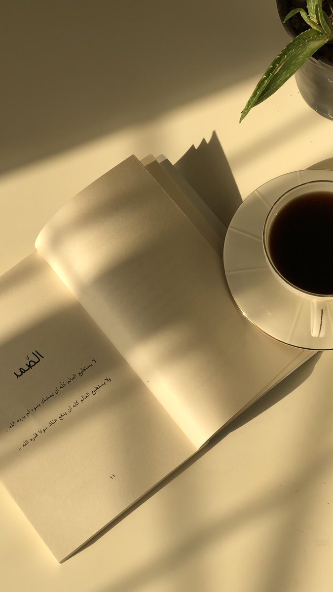 هَـاله. tweet media