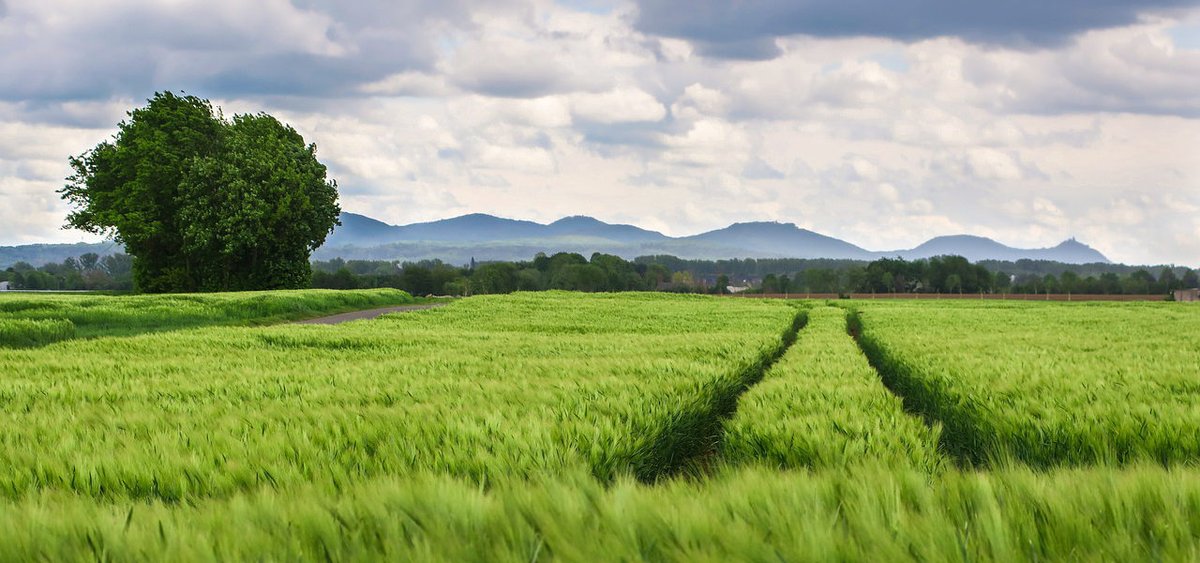 OikosMSP's tweet image. Esta tarde hemos creado una sencilla web para @AzollaProjects 

!Mucha suerte en este inicio de andadura con el Farming Carbon Program!

azollaprojects.com