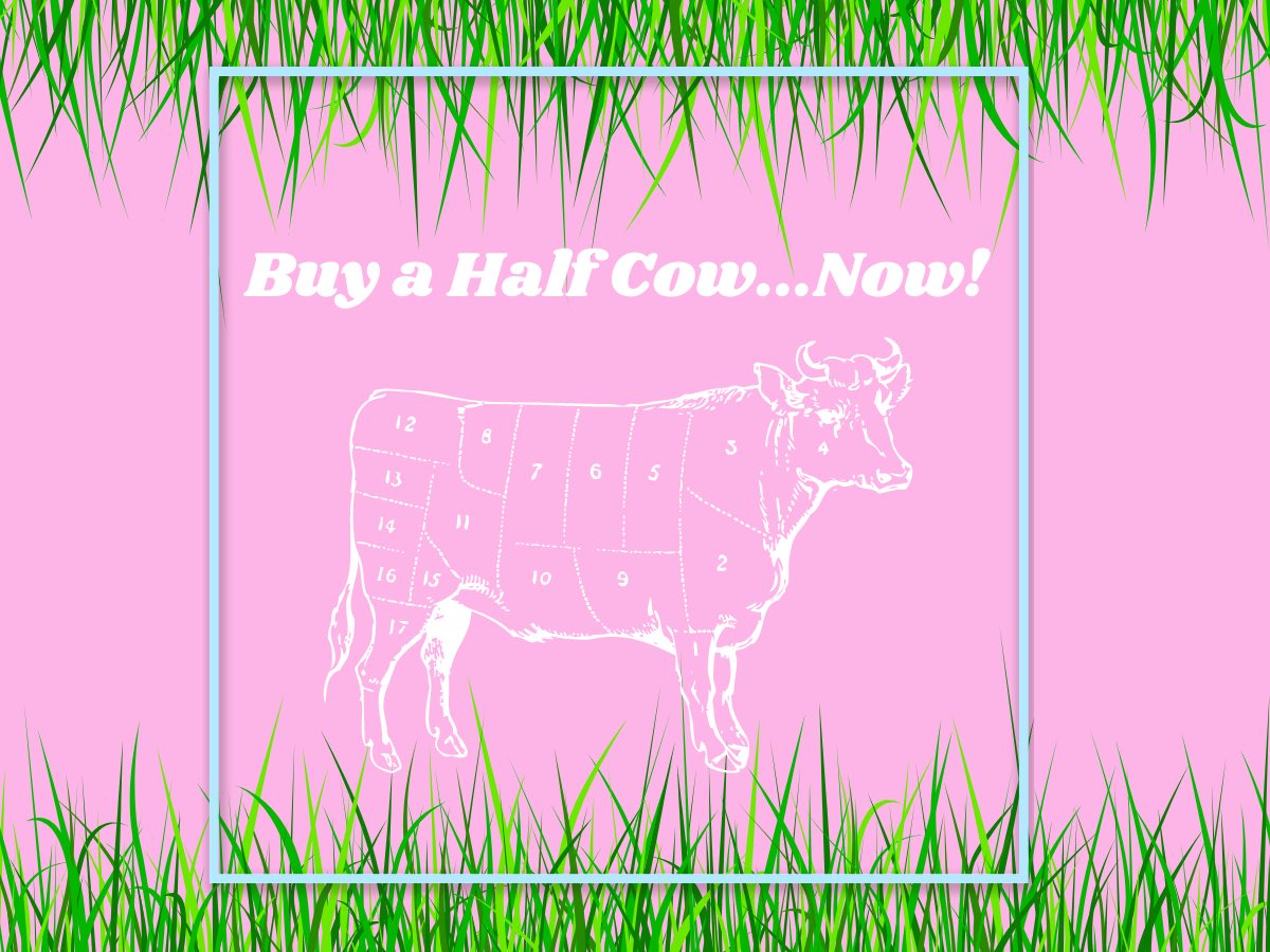Thinking of buying a half cow? Now is the time when the waitlist is low!

bastropcattlecompany.com/half-and-whole…