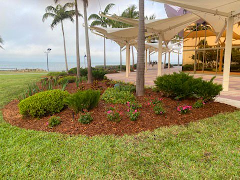SarasotaPRD's tweet photo. BEAUTIFUL LANDSCAPE
Checked out the beautiful landscape at the @vanwezel patio!
We ❤️ Native Plants⠀⠀
@citysarasota #LetsPlaySarasota #PurpleQueen #ApostleIris #CrotonFreckles #Bougainvillea #HelenJohnson #YellowLantana https://t.co/iEhGKWFdPm