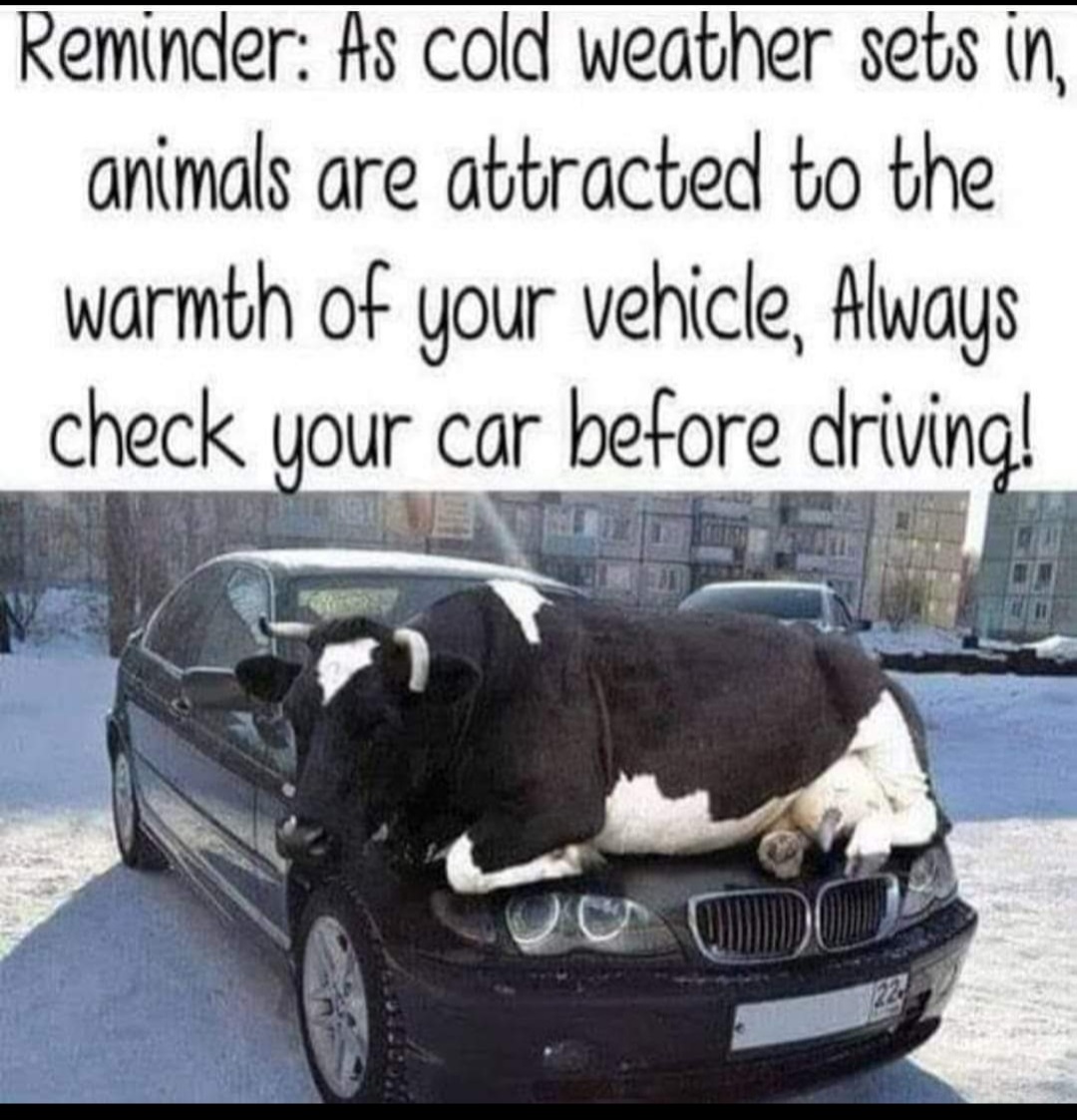 Friday Funny!!  #AgSafeBC #farmsafety