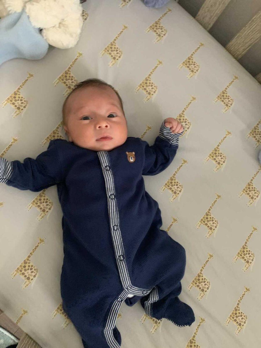 JFertility's tweet photo. Meet this week's Baby-Grad, Tommaso! 

"We are so over the moon in love with his little boy and we couldn’t have done it without Anova Fertility’s help. Thank you from the bottom of our hearts for making our family dreams come true." https://t.co/pEbKlR3K7l