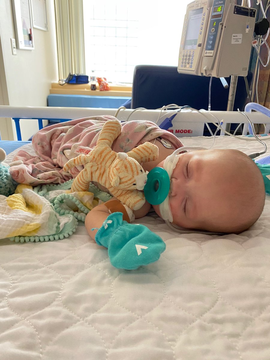 Ivy is currently on life support, with no circulation in her right leg. Doctors have had trouble keeping fluid out of her lungs and have been unable to remove her from life support. Our hearts are breaking right now. Your continued prayers are appreciated.
