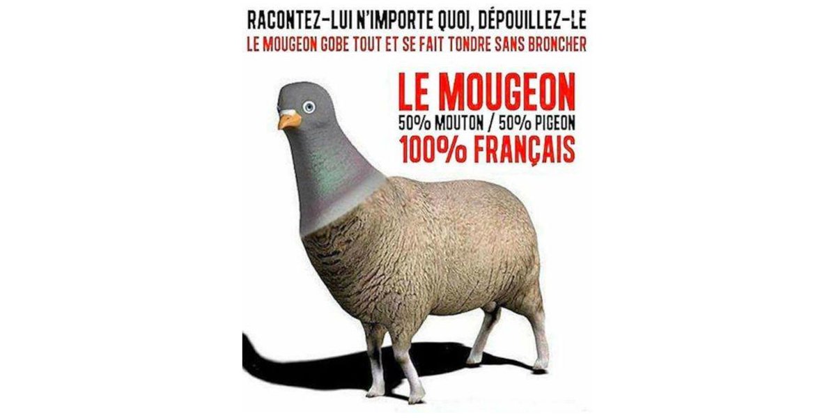 Mflo_67's tweet photo. Tellement énorme la pandémie que si la télé n'en parlait pas, personne ne saurait que le Covid existe. C'est tellement dangereux que faut être testé pour savoir que t'as le Covid. https://t.co/YMz35UFjDV