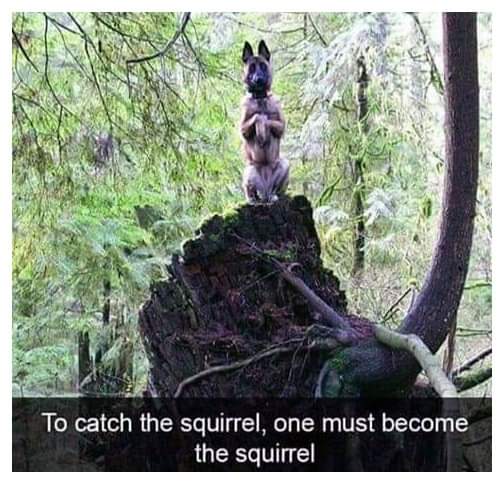 abparrish083's tweet image. 😂😂😂