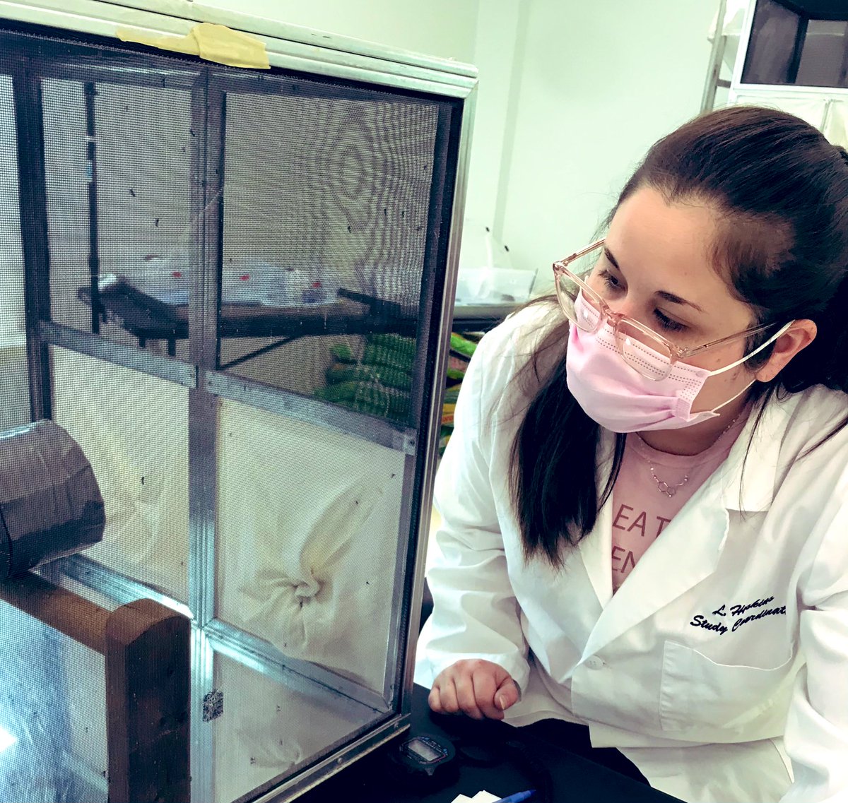 Our team @i2LResearchUSA spent the last week conducting a fabric probe screening w/ Aedes aegypti, yellow fever mosquitos. Some of us are still counting mosquitos in our sleep. #EfficacyTesting #Rapid #Responsive #Reliable #Entomology #TwitterEnto