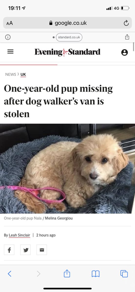 Melina_Geo's tweet image. Please can we try and run this story in Kent? That’s where we think she could be. please help us spread the word for stolen pup Nala  @BBCR1 @kentlivenews @Kent_cc @BBCRadioKent @kmfmnews @kmfmofficial