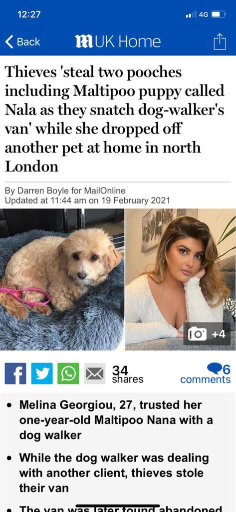 Melina_Geo's tweet image. Please can we try and run this story in Kent? That’s where we think she could be. please help us spread the word for stolen pup Nala  @BBCR1 @kentlivenews @Kent_cc @BBCRadioKent @kmfmnews @kmfmofficial