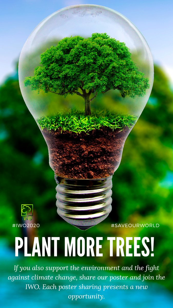 IWO Innovative World tweet media