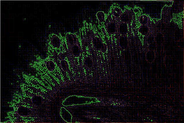 alien_ontology's tweet photo. #alienbivalve https://t.co/InrOz0Hw3E