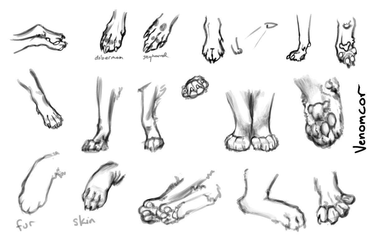 VenomCor's tweet photo. Paw Studies, cats and dogs
#paws #toe_beans https://t.co/IO3eQ1V3cK