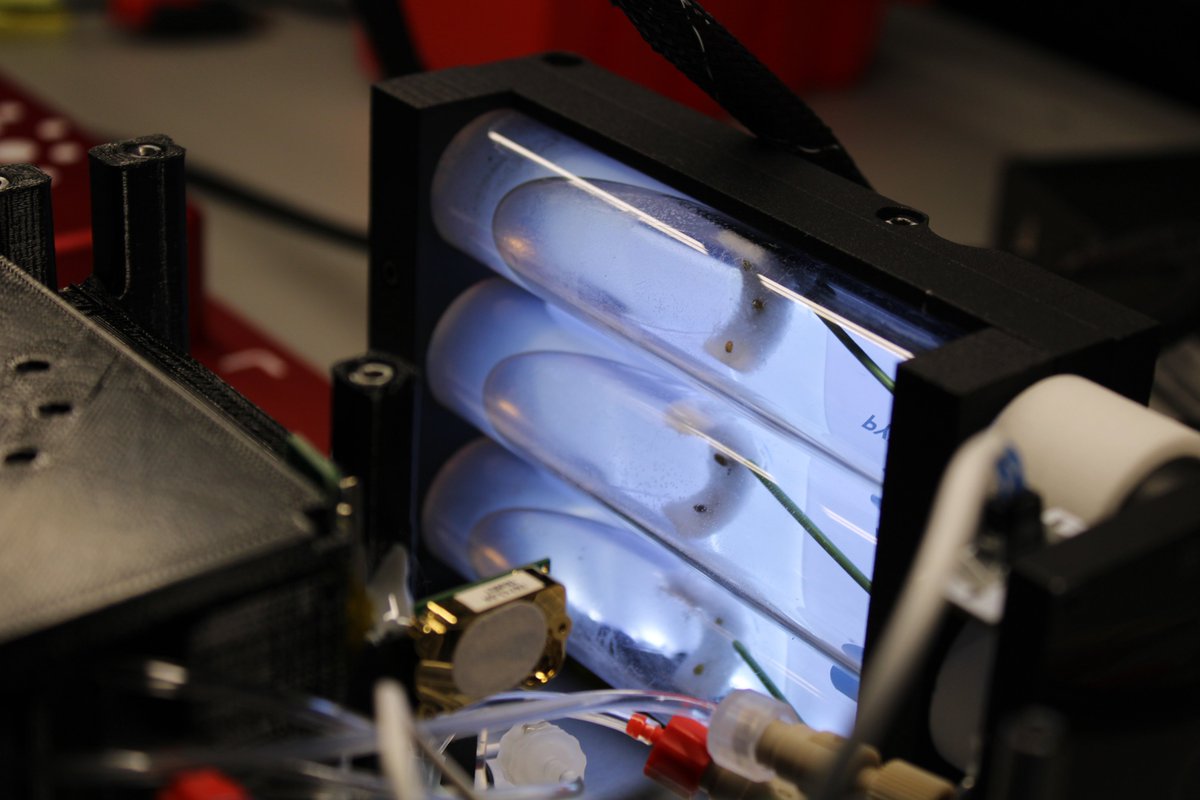 space_tango's tweet photo. We're counting down! 🚀 #CubeLab investigations with @LambdaVision and @magnitudeio depart for the #ISS tomorrow.

Be sure to watch LIVE with @NASA and @ISS_CASIS to learn about why we conduct science in space. 

Can't wait? Here's a sneak peek: https://t.co/LBNoFc1wZG https://t.co/bQjebNdgH5