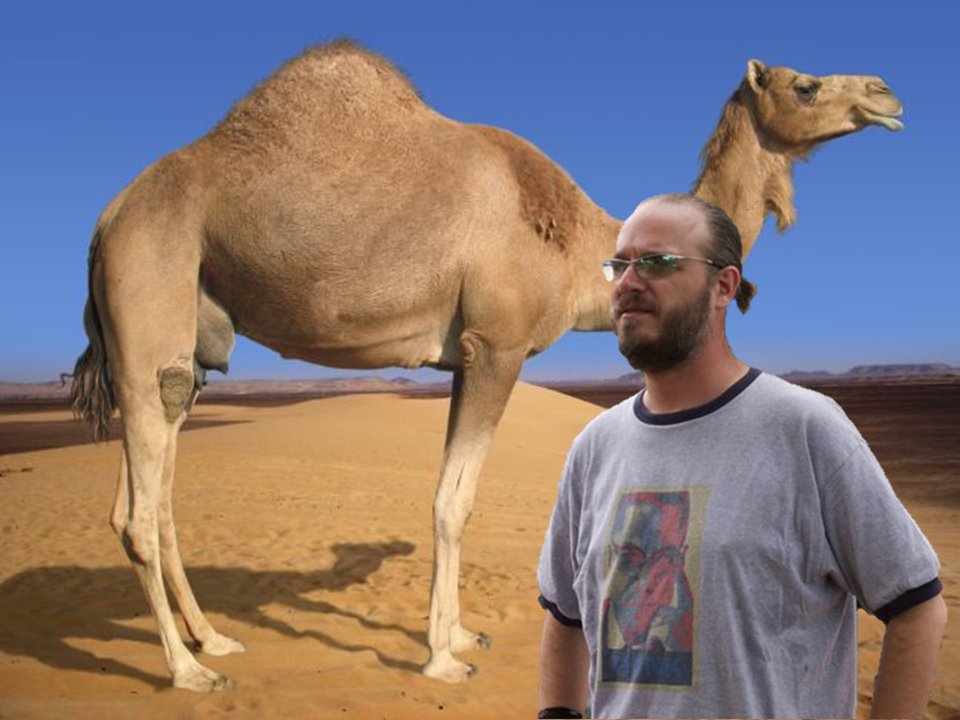 OtimMichael's tweet image. Thank you for including the Einstein the #Pennsylvania #SnowCamel song. 🐪