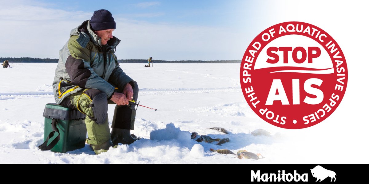 DYK that if you take live bait with you to an AIS Control Zone, you must dispose of it before you leave the shore? Learn more at bit.ly/3jKsLiF.