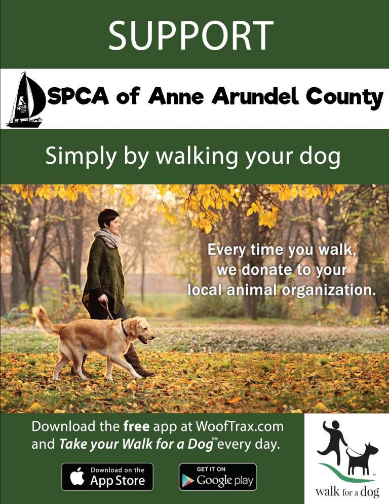 aacspca photo