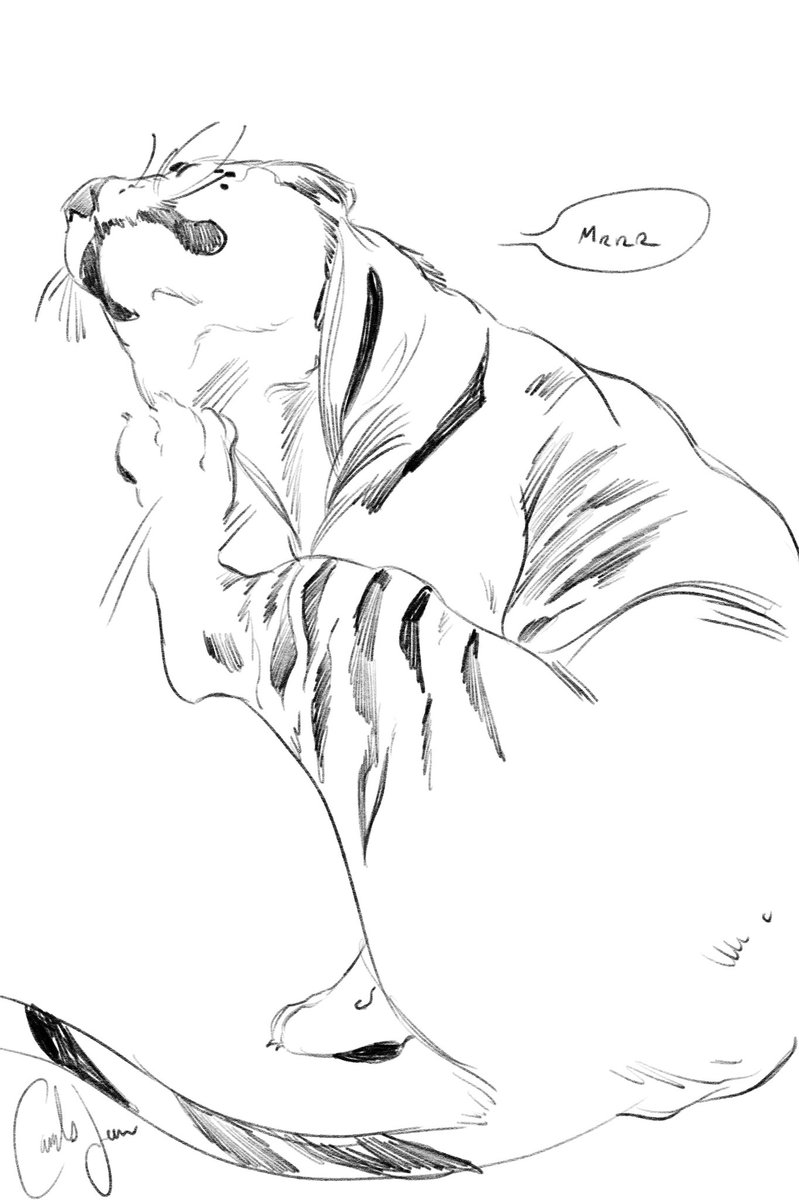 I try to include animals in all my illustrations but also!! I just like to sketch them #AnimalArtistsUnite 