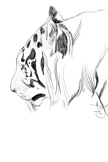 I try to include animals in all my illustrations but also!! I just like to sketch them #AnimalArtistsUnite 
