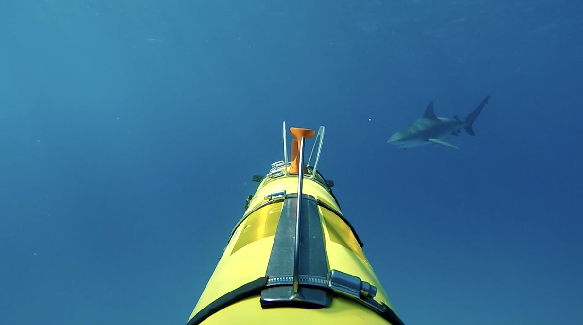 Scibotics LLC (@sciboticslab) on Twitter photo Wanted: #AUV embedded software engineer #intern to join our team <a href="/WHOI/">Woods Hole Oceanographic Institution (WHOI)</a>. Message us for more information. Spring, summer and fall opportunities available. ROS experience a must. Wanted: #AUV embedded software engineer #intern to join our team <a href="/WHOI/">Woods Hole Oceanographic Institution (WHOI)</a>. Message us for more information. Spring, summer and fall opportunities available. ROS experience a must.