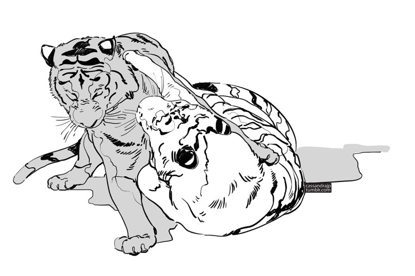 Tigers are just big ol kitty cats 