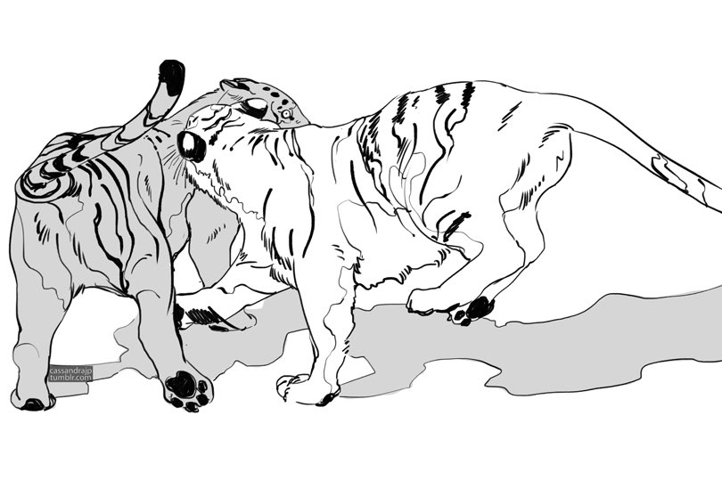 Tigers are just big ol kitty cats 