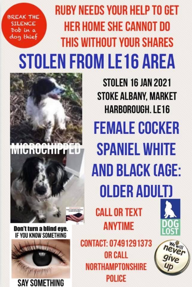 ‼️‼️‼️‼️ TWITTERSTORM IN PROGRESS  ‼️‼️‼️‼️

THE ONLY WAY TO REDUCE #DOGTHIEVES CHANCE OF MAKING MONEY FROM THEIR CRIME IS TO MAKE THE STOLEN DOG #TOOHOTTOHANDLE. #FINDRUBY LETS GET HER KNOWN!! 🔁🔁🔁🔁🔁🔁PLEASE JOIN IN &amp; RT