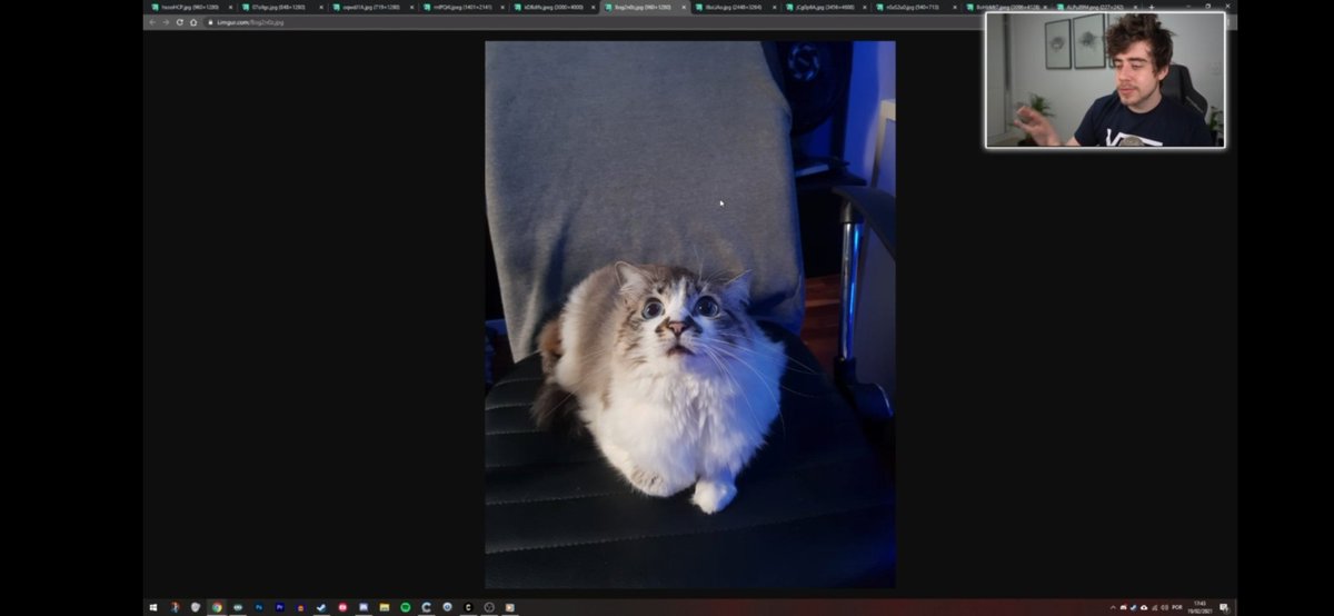 um gatinho chamado misha acabou de aparecer na live tô toda soft 💙🥺