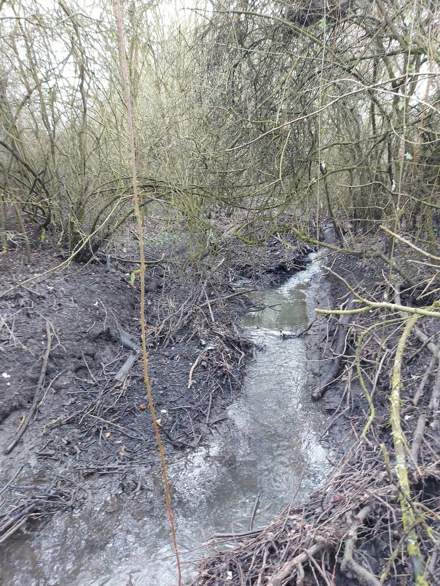 BGroundsman's tweet image. Bit of time today clearing and shovelling. From A to B in three hours. Another 30m closer to the target.
#volunteergrounsdman 
#teamofone 
#communityrugby 
#ditchclearing 
#watermanagement