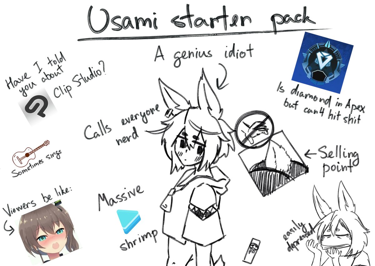 You have purchased the Rabbit started pack!
Contents include:

P.S. thanks @zumzumtm for the meme
#Vtuber #VTuberEN 