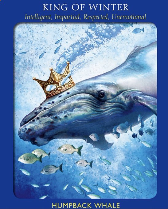 クジラのtwitterイラスト検索結果