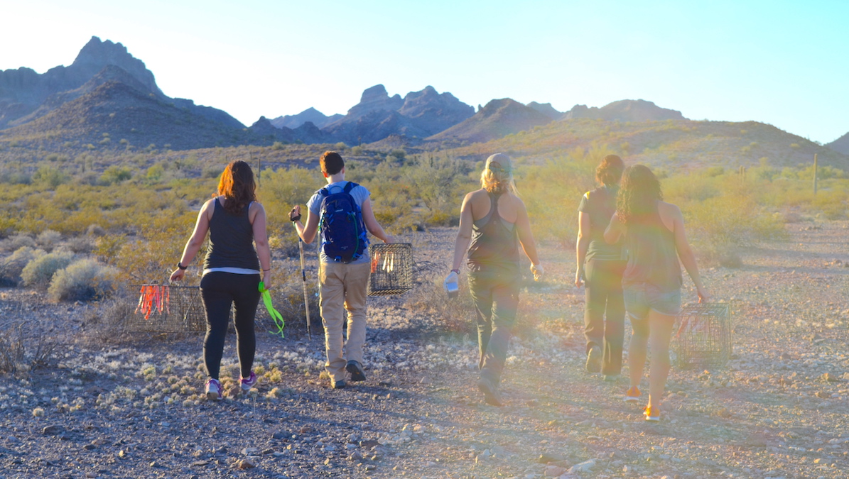 HallOfNature's tweet photo. Pls RT! We're looking for a full-time, benefits-eligible lecturer to join our @asuSOLS Global Change fac group & teach f2f + online ConBio/Eco classes @ASU. We're esp. welcoming of candidates who can support the success of our diverse student population. https://t.co/kvaFMRMFIP https://t.co/OODbBCjiQ1