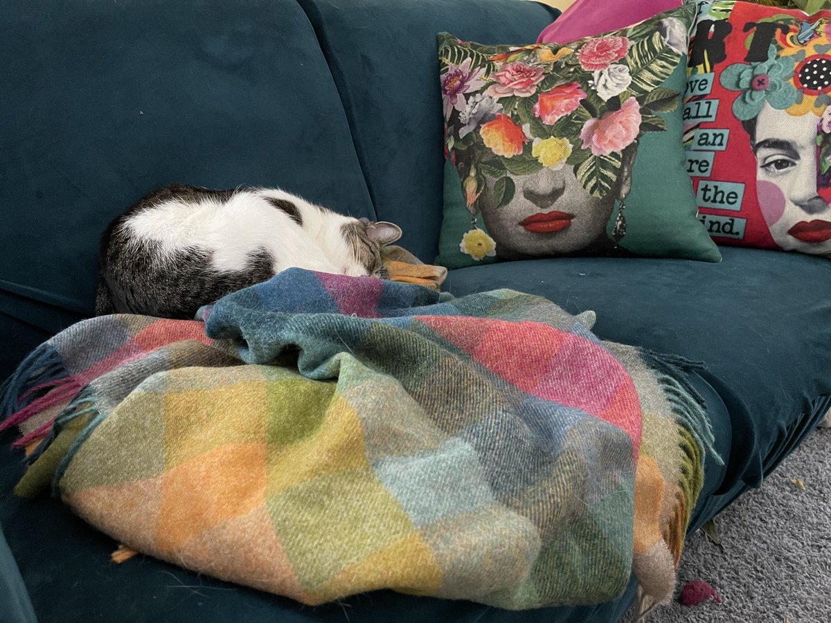 christylou tweet media