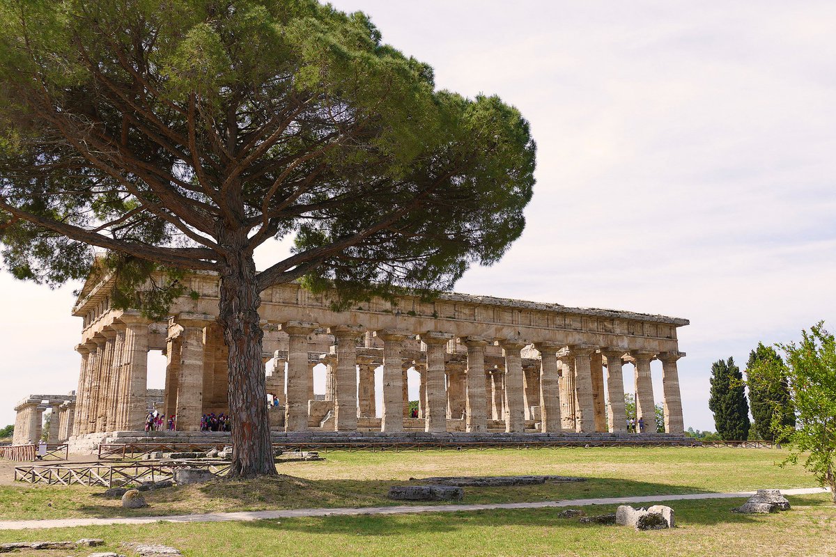 RuidoHistorico's tweet photo. Paestum era o nome romano da cidade grega Poseidonia, dedicada a Poseidon e fundada pelos gregos no século VII a.C. no sul da Itália, região conhecida como Magna Grécia. Sua proximidade com a ciadade de Pompeia cria o passeio perfeito para amantes de história antiga.
#Historia https://t.co/1UqJ2CarQv