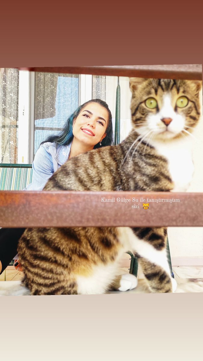 _esra01's tweet photo. 😽❤️😍 https://t.co/1cbUrxhguX