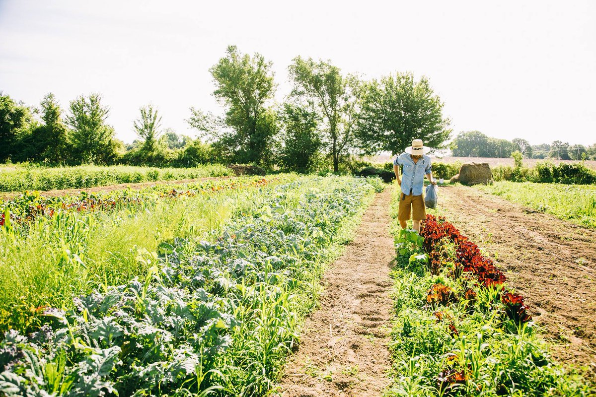 douglascountyks's tweet photo. The Douglas County Food Policy Council is gathering public input about community values around agriculture and aspirations for ag business development. Please share your thoughts through this brief survey:
https://t.co/MhRJCf8yDZ
@lawrenceks @TheMercCoop https://t.co/UrZ0yS0u0g