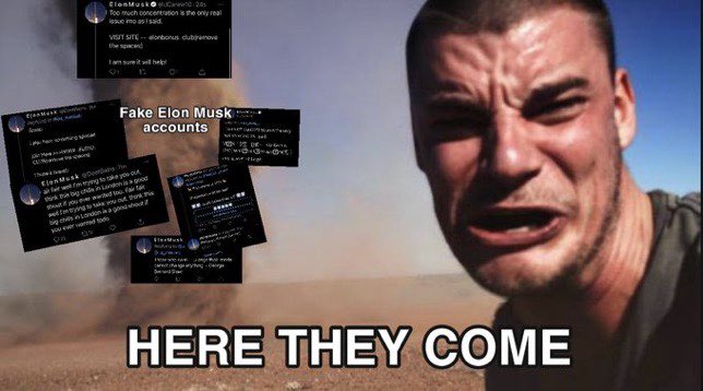 dav tweet media