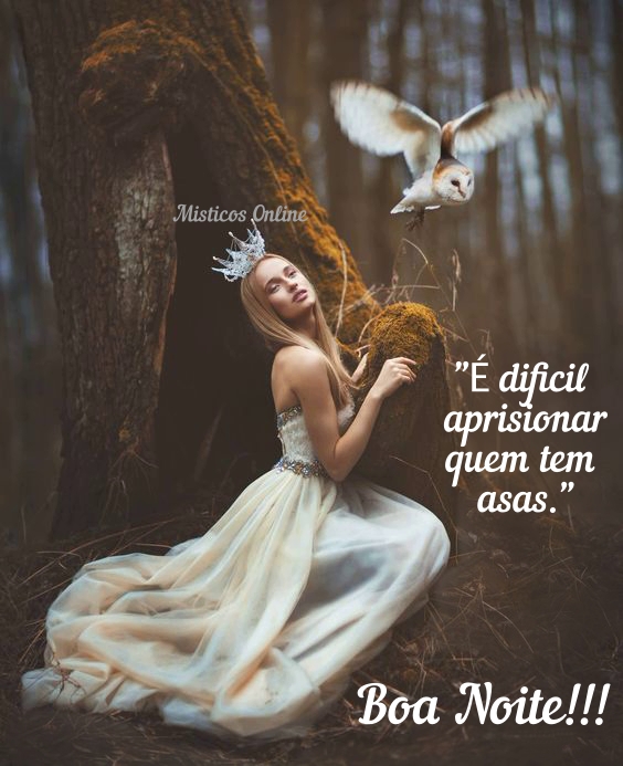 Místicos Online - Boa noite!!!🧚‍♀️🧚‍♀️🧚‍♀️