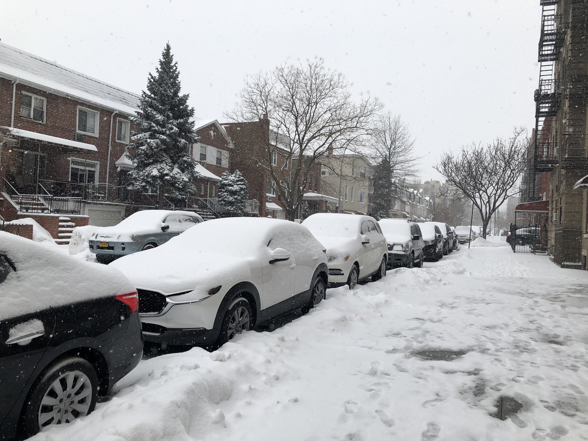 Fuji Driving School Fujids Twitter