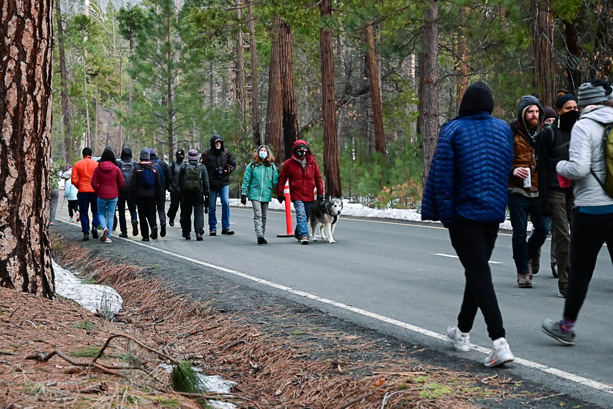 Park visitors walking on roadway through the forest