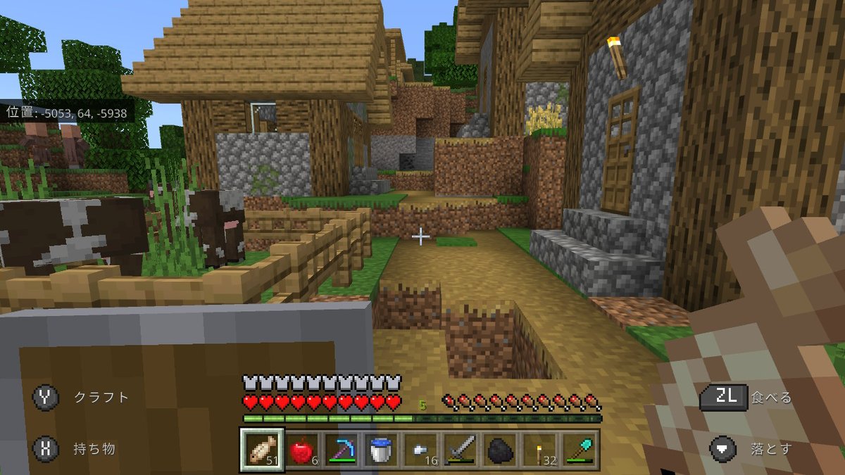 ジェット Minecraft マイクラ マインクラフト Nintendoswitch 初踏みの村にて天然の落とし穴