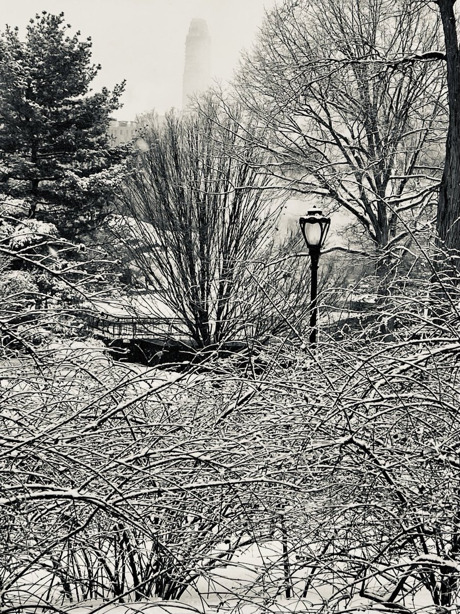winsjuliet's tweet photo. After being on the #snowdesk... https://t.co/zbQTICekiw
