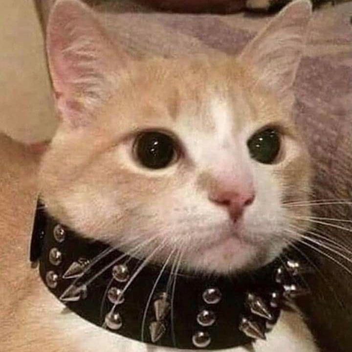 jungkook tweet media