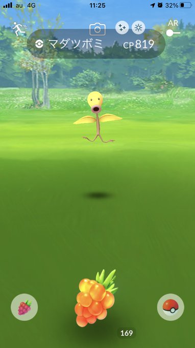 マダツボミ ポケモンgo マダツボミ ポケモンgo
