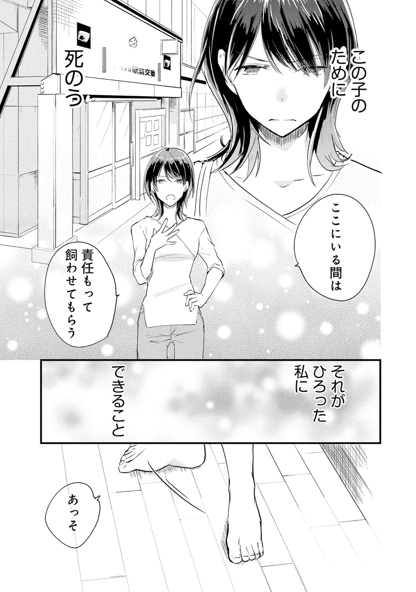 (6/6) 