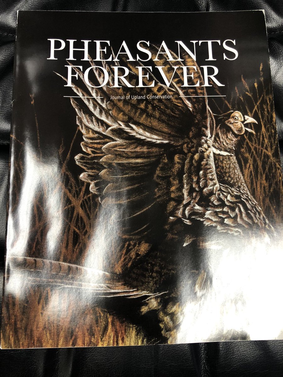 chasehentges's tweet photo. Thank you @pheasants4ever !!! Love seeing Hunting Dog Life in your Feb 2021 Conservation Journal! https://t.co/I3JeuL0LCL for America’s Best Protective Dog Vests &amp; hunters apparel 🐾🧡🐾 https://t.co/zBEMrS9NJU
