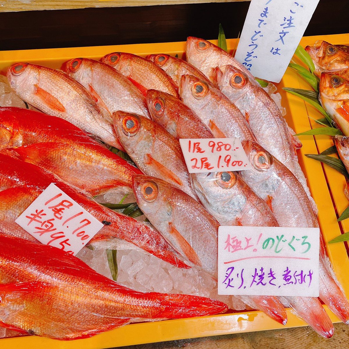 サカナテラス 本日 鮮魚コーナーが 極上もの 祭りになっておりますよー キンメダイ のどぐろ ムギメバル などなど サカナテラス 魚屋 鮮魚販売 京都 舞鶴 舞鶴グルメ 舞鶴ランチ 舞鶴カフェ 海の京都 うまいづる 京都グルメ サカナ