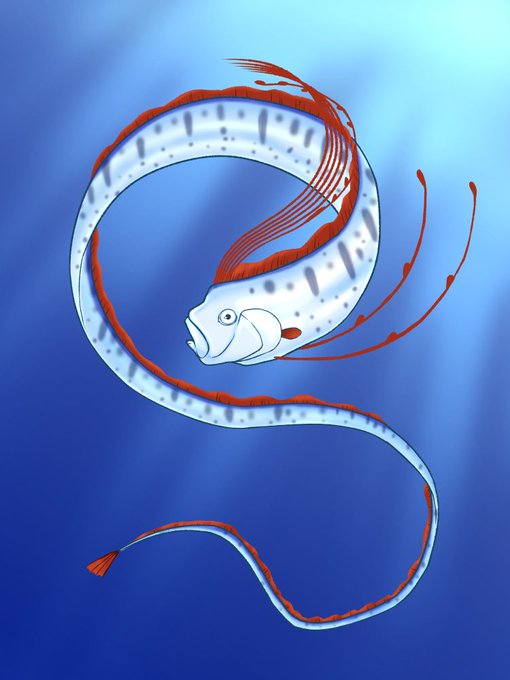 深海魚のtwitterイラスト検索結果 深海魚のtwitterイラスト検索結果